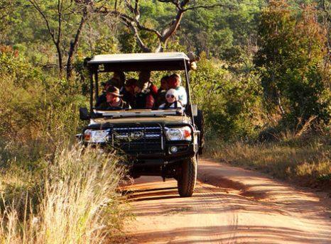 Metsi Lodge Welgevonden Game Reserve Eksteriør billede