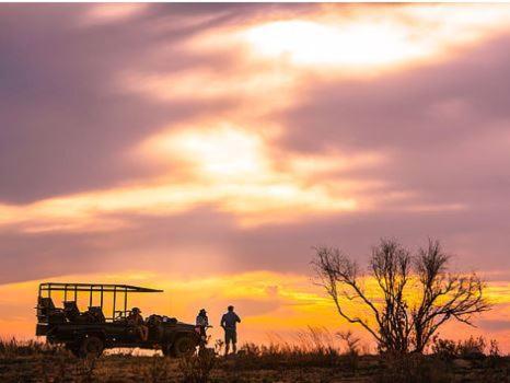 Metsi Lodge Welgevonden Game Reserve Eksteriør billede